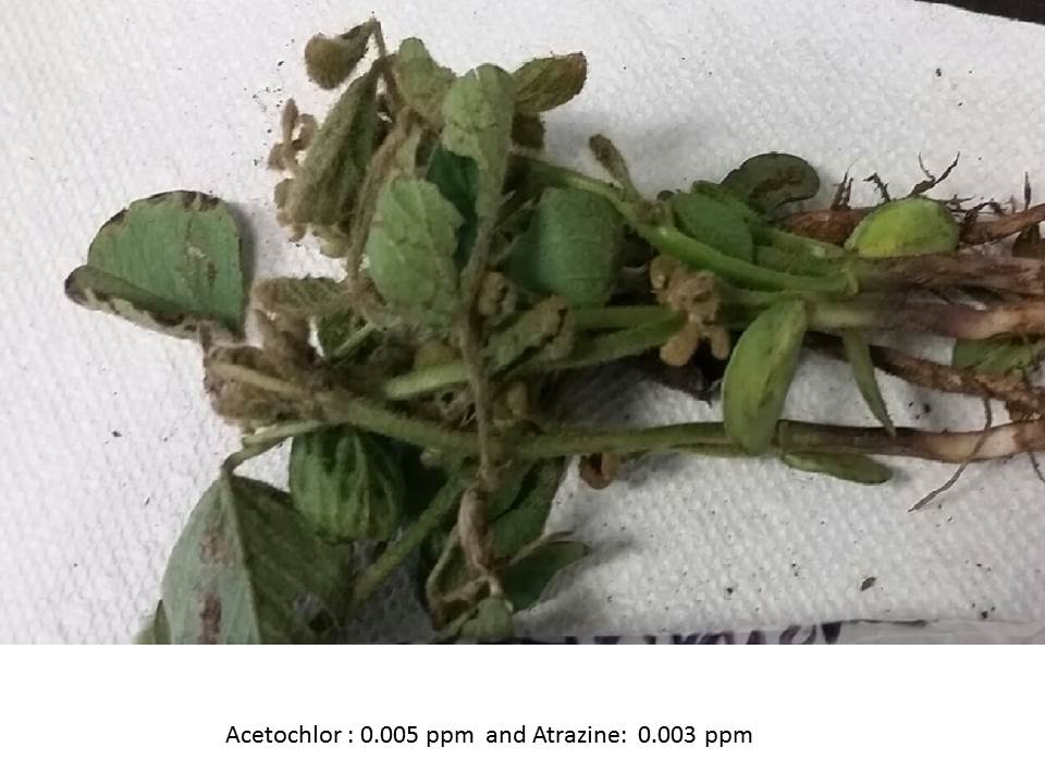 Pesticide Testing South Dakota Agricultural Laboratories