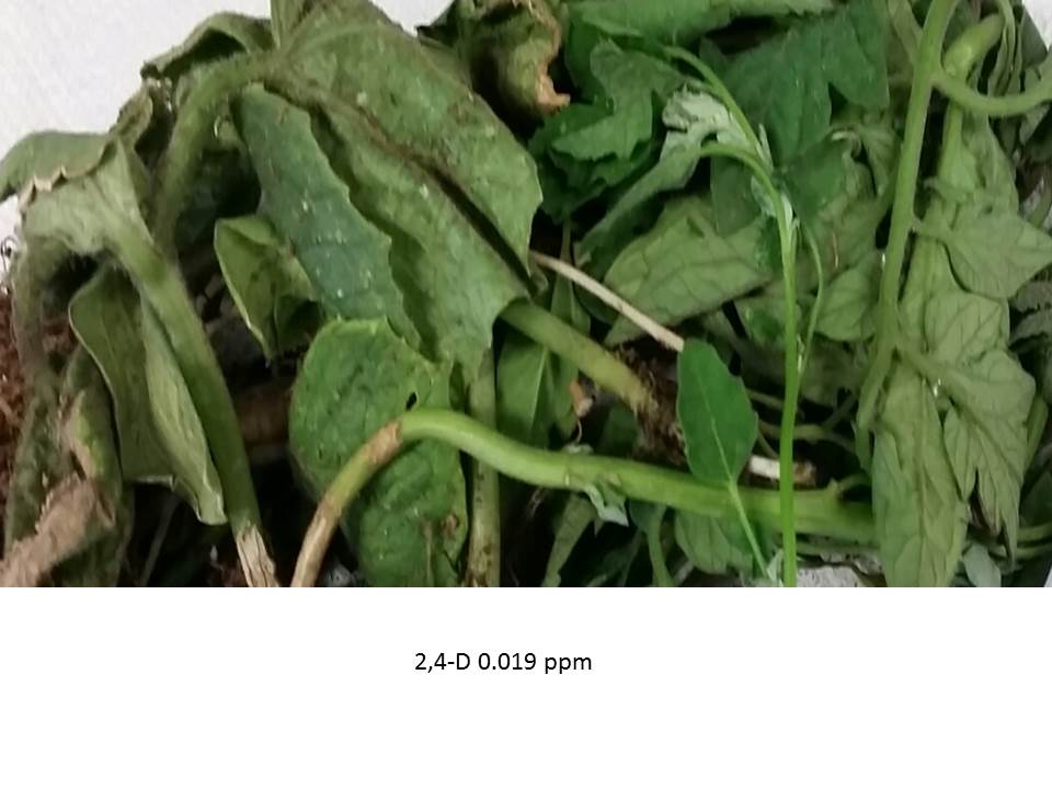 Pesticide Testing South Dakota Agricultural Laboratories